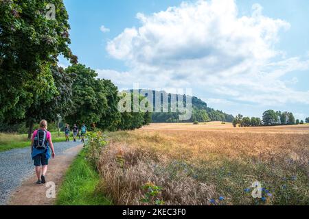 Les gens qui font de la randonnée sur la Malerweg jusqu'au Pfaffenstein en Saxe pendant la journée en été. Banque D'Images