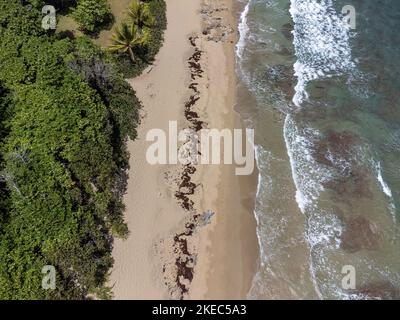 Amérique du Nord, Caraïbes, Grande Antilles, Île d'Hispaniola, République dominicaine, Puerto Plata province, Cabarete, Playa Perla Marina vue d'oiseau Banque D'Images