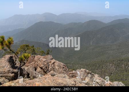 Amérique du Nord, Caraïbes, Grande Antilles, Île d'Hispaniola, République dominicaine, Cordillère centrale, Parque Nacional Armando Bermúdez, vue de Pico Duarte sur la Cordillère centrale Banque D'Images