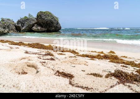 Amérique du Nord, Caraïbes, Grande Antilles, Île d'Hispaniola, République dominicaine, SAMA, Las Galeras, Cabo Sama, paysage de plage à Cabo Sama Banque D'Images