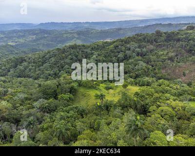 Amérique du Nord, Caraïbes, Grande Antilles, Île d'Hispaniola, République dominicaine, Cordillera Septentrional, Moca, Cola de Pato, vue sur le paysage verdoyant et vallonné de la Cordillera Septentrional Banque D'Images