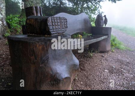 Europe, Allemagne, Sud de l'Allemagne, Bade-Wurtemberg, Forêt Noire, Banc en bois sculpté avec art à Wiedener Eck Banque D'Images