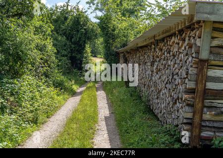 Europe, Allemagne, Sud de l'Allemagne, Bade-Wurtemberg, Forêt Noire, Pile de bois sur une route de terre entre Kandern et Wollbach Banque D'Images