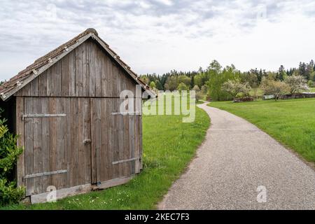 Europe, Allemagne, Sud de l'Allemagne, Bade-Wurtemberg, Forêt Noire, cabane en bois devant un verger de prairie au bord de la forêt Banque D'Images