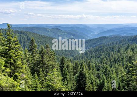 Europe, Allemagne, Sud de l'Allemagne, Bade-Wurtemberg, Forêt Noire, Vue sur un paysage idyllique de la Forêt-Noire près d'Oberwolfach Banque D'Images