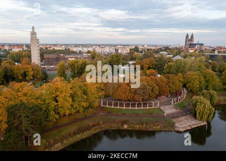 Tour Albin Müller, arbres à feuilles caduques de couleur automnale, parc de la ville de Rotehorn, cathédrale de Magdebourg, cathédrale, Saxe-Anhalt, Allemagne Banque D'Images