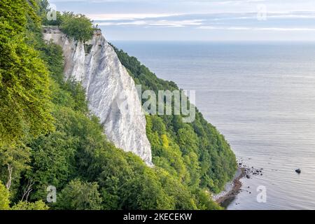 La célèbre falaise de craie à la Königsstuhl dans le parc national de Jasmund sur l'île de Rügen Banque D'Images