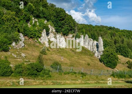 Groupe de roches 'Spitziger Stein' dans la vallée de la Grande Lauter dans l'Alb. Souabe Banque D'Images