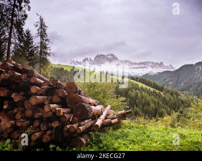 Parc naturel Sciliar-Rosengarten avec vue sur le massif du Rosengarten Banque D'Images