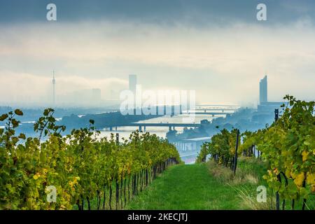 Vienne, brouillard matinal au-dessus de Vienne, vignobles, rivière Donau (Danube), tour Donauturm, DC Tour 1, Tour du millénaire, vue de la colline de Nußberg en 00. Vue d'ensemble, Vienne, Autriche Banque D'Images