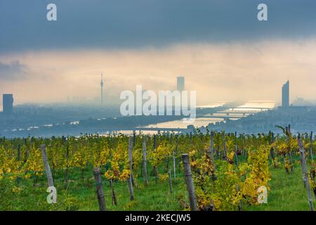 Vienne, brouillard matinal au-dessus de Vienne, vignobles, rivière Donau (Danube), tour Donauturm, DC Tour 1, Tour du millénaire, vue de la colline de Nußberg en 00. Vue d'ensemble, Vienne, Autriche Banque D'Images