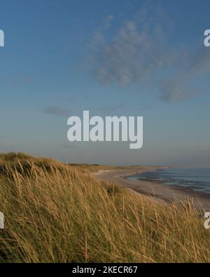 Hvide Sande, Danemark, paysage, mer, été Banque D'Images