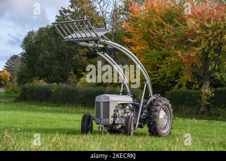 Otzberg, Hesse, Allemagne, tracteur Massey-Ferguson TEF 20. Cylindrée 2092 cm3, 27 ch. Année de fabrication 1956 Banque D'Images