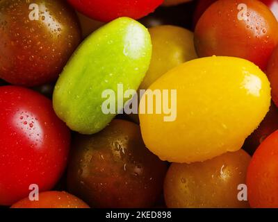 Gros plan. Tomates fraîches multicolores. Beaucoup d'objets. Nourriture végétarienne saine, vitamines, antioxydants. Une récolte abondante. Conception du menu. Cuisine, réf Banque D'Images