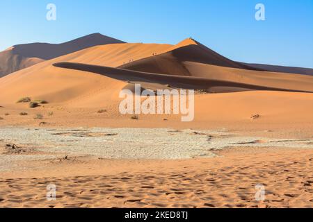 Les personnes grimpant Big Daddy ou Crazy Dune, la plus haute dune de sable entre Dead Vlei et Sossusvlei dans le parc Namib-Nuakluft, désert Namib, Namibie Banque D'Images