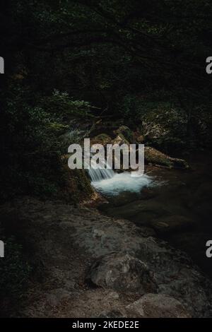 Un plan vertical d'une petite cascade qui coule dans la forêt Banque D'Images