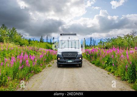 Femme senior conduisant Airstream Interstate 24X 4WD campervan ; Fireweed Wildflowers ; Eveline State Recreation Park ; Homer ; Alaska ; États-Unis Banque D'Images