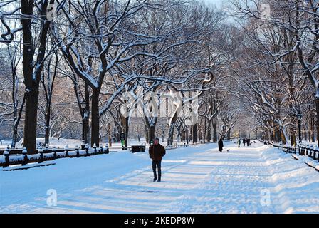 Quelques personnes bravent le temps froid à la suite d'une tempête de neige et marchent dans le Mall, un quartier formel de Central Park à New York Banque D'Images