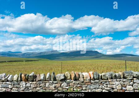 Calme et isolé, en milieu d'été, ciel bleu et nuages blancs moelleux accrochés à de belles montagnes, ensoleillées, sur la côte nord des montagnes et de l'herbe sauvage meado Banque D'Images