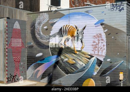 Street Art, Fitzroy, Melbourne, Victoria, Australie Banque D'Images