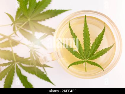Cannabis, plante de marijuana et feuille de mauvaises herbes dans le thé à base de plantes, boisson chaude ou boisson pour la santé, le bien-être et la détente. Santé, cbd et chanvre pour la médecine Banque D'Images