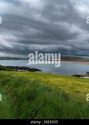 Vue sur la baie de Clonakilty le jour. Herbe épaisse près de la mer. Le littoral du sud de l'Irlande. Paysage de bord de mer. Temps nuageux avant un orage Banque D'Images