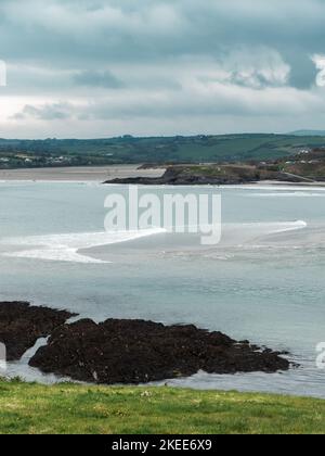 Vue sur la baie de Clonakilty par jour nuageux. Herbe épaisse près de la mer. Le littoral du sud de l'Irlande. Paysage de bord de mer. Temps nuageux. Banque D'Images