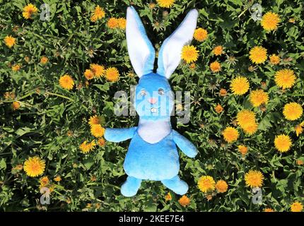 Un lapin en peluche se trouve sur l'herbe verte en pissenlits. Lapin - un symbole de 2023 ans selon le calendrier est. Nouvelle année 2023 Banque D'Images