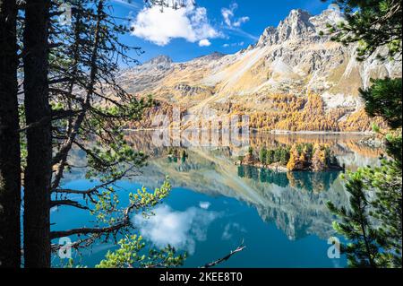 Vue majestueuse sur le lac de Sils dans la vallée d'Engadin, en Suisse, le jour d'automne ensoleillé Banque D'Images