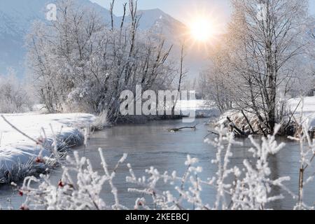 Frost und EIS an einem Fluss im Winter Banque D'Images