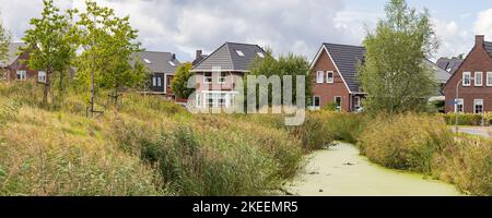 Île nature Oostergast à Zuidhorn, municipalité Westerkwartier province de Groningen aux pays-Bas Banque D'Images