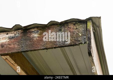 Vue rapprochée de la corrosion de la planche de toit en bois Banque D'Images