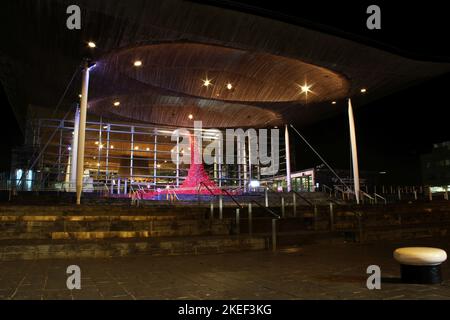 Memorial Poppies of the Weeping Window à Senedd, baie de Cardiff Banque D'Images