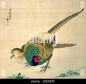 Maruyama Okyo, Scroll suspendu - paire de faisans, Circa 1750-1795, aquarelle sur soie et papier, Musée d'art Philbrook, Tulsa, Etats-Unis. Banque D'Images