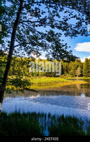 Apennines toscan-Émilien, Italie. Le lac de Pranda provient artificiellement d'une vieille tourbière près du village touristique de Cerreto Laghi. Banque D'Images