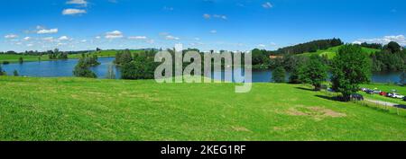 Vue panoramique panoramique sur le Schwaltenweiher avec une large zone herbeuse au parking en été avec un ciel bleu avec de petits nuages et le soleil. Banque D'Images