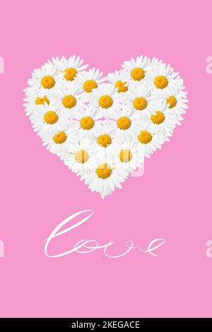 Coeur fait de fleurs de Marguerite blanche sur fond rose. Carte élégante pour la Saint-Valentin, poster ou expression d'amour Banque D'Images