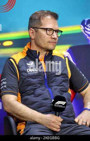Conférence préliminaire de la FIA avec Andreas Seidl, directeur général de McLaren, portrait lors de la Formule 1 Heineken Grande Premio de São Paulo 2022, Grand Prix de Sao Paulo Grand Prix 2022, 21st tour du Championnat du monde de Formule 1 de la FIA 2022 de 11 novembre à 13, 2022 sur le circuit Interlagos, À Sao Paulo, Brésil - photo : DPPI/DPPI/LiveMedia Banque D'Images