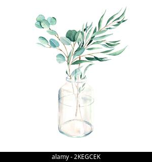 Branches d'eucalyptus dans vase, pot. Dollar d'argent, saule. Aquarelle dessin à la main illustration botanique isolée sur fond blanc. Éco-minimaliste Banque D'Images