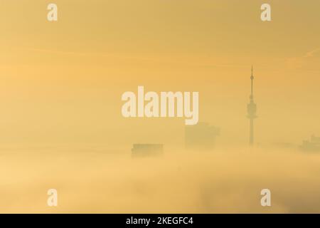 Vienne, Vienne: Vienne dans le brouillard du matin, brouillard du sol, après le lever du soleil, les gratte-ciels s'ensuivent du brouillard du sol, Donauturm (Tour du Danube), vue de Leopoldsbe Banque D'Images