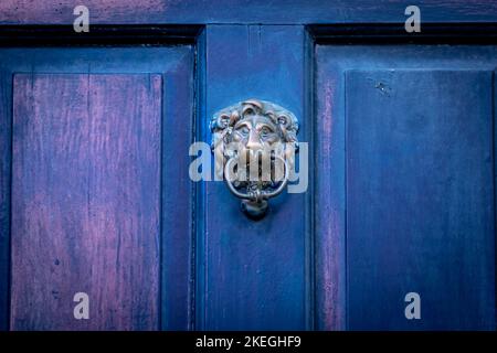 Porte de la tête du lion sur une porte avant en bois bleu Banque D'Images