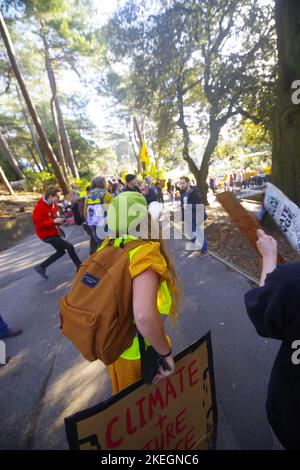 12 novembre a assisté à des rassemblements de masse à travers le monde et à des milliers de personnes dans les rues britanniques pour exiger la justice climatique en solidarité avec la Journée mondiale d'action appelée par les groupes égyptiens à COP27. À Bournemouth, plus de 200 manifestants se sont rassemblés pour exiger le changement. La Journée nationale d'action intervient pendant l'avant-dernier week-end des négociations de COP27. À Bournemouth, une coalition d'ONGE et de groupes communautaires locaux s'est rassemblé pour manifester le 12th novembre contre l'inaction gouvernementale.la démo de Bournemouth a été orgnée par Ruby Free, un restaurationniste de la conservation de la faune. Banque D'Images