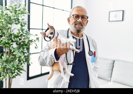 Homme senior à poil gris portant un uniforme vétérinaire tenant chihuahua avec un collier élisabéthain à la clinique vétérinaire Banque D'Images