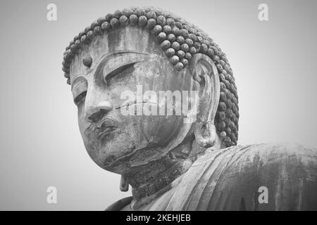 Yeux paisibles vue dégagée du Grand Bouddha (Daibutsu) Grande statue de bronze représentant le Bouddha Amida (Amitabha) dans le temple bouddhiste de Kamakura Kotoku-in Banque D'Images