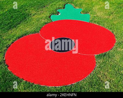 Coquelicot du jour du souvenir, logo, symbole, ensemble en gazon, pelouse, Grass, Hunstanton, Norfolk, Angleterre, Royaume-Uni Banque D'Images