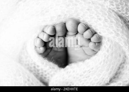 Le pied minuscule d'un nouveau-né.Pieds doux d'un nouveau-né dans une couverture en laine. Banque D'Images