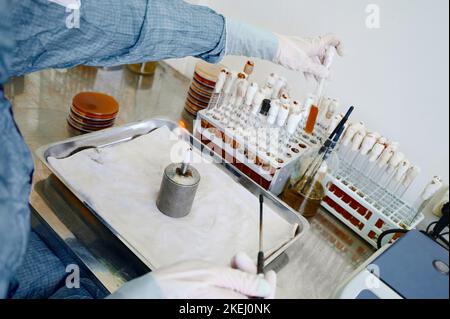 Le technicien travaille sur un projet spécial examinant les échantillons de test Banque D'Images