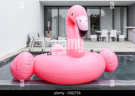 Flamant rose gonflable en plastique flottant sur la piscine avec jardin tropical Banque D'Images