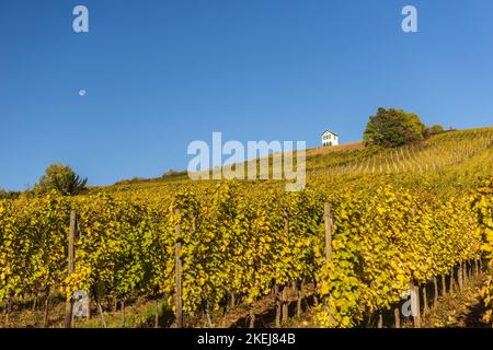 France. Alsace. Haut-Rhin (68) Barr. Le vignoble de Kirchberg Grand cru en automne Banque D'Images