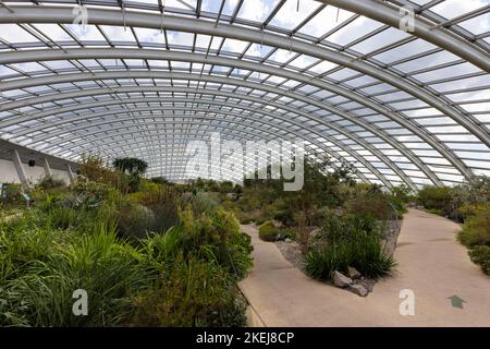 Le jardin botanique national du pays de Galles, Pembrokeshire, pays de Galles, Royaume-Uni Banque D'Images